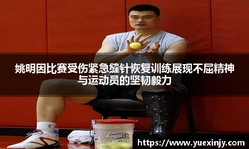 完美体育app下载安装