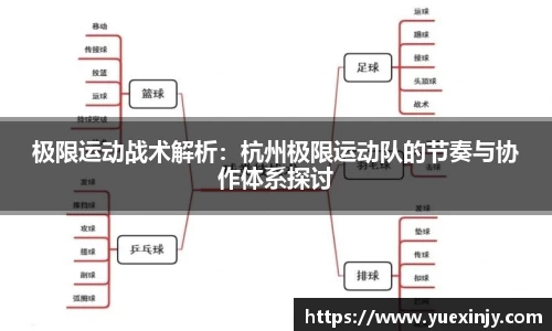 完美体育在线入口官网