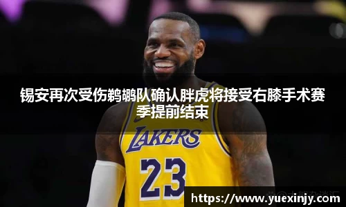 完美体育在线入口官网