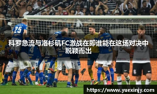 完美体育在线入口官网