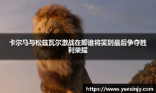 完美体育在线入口官网